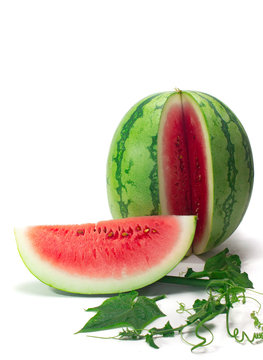 whole and slices watermelon with green leaves isolated on white background