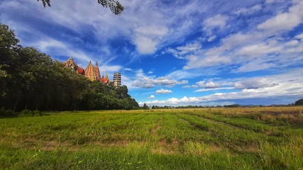 Obraz premium landscape with field and blue sky