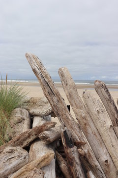 wooden fence on the beach