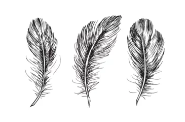 Papier peint Plumes Feather set on white background
