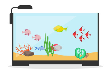 Aquarium, a realistic aquarium with fish and algae. Vector illustration of aquarium with fish isolated on white, vector.