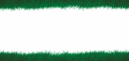 set of grass isolated on white background