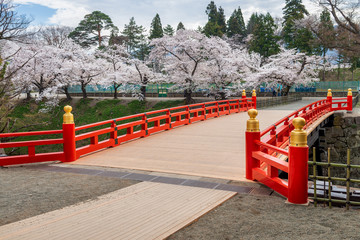 Japanese red bridge style with cherry blossom along the canal.