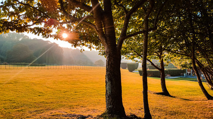 Fototapeta premium Autumn colors with sun flare rays coming from behind the trees at sunset time over scenic valley in the countryside.