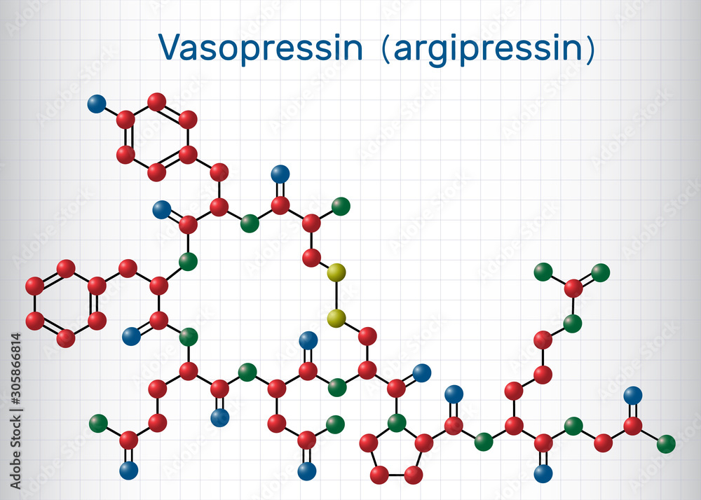 Wall mural Vasopressin, arginine vasopressin AVP or argipressin molecule. It is antidiuretic hormone ADH synthesized as a peptide prohormone in neurons in the hypothalamus. Sheet of paper in a cage. 