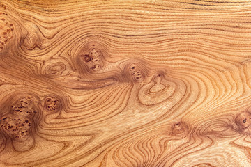 burl wood background