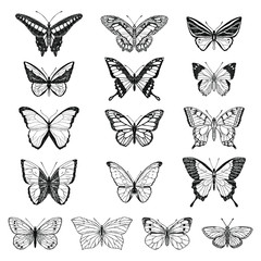 Fototapeta na wymiar Set of cute butterflies. Vector cartoon illustrations. Isolated objects on a white background. Hand-drawn style.