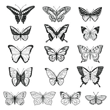 Set of cute butterflies. Vector cartoon illustrations. Isolated objects on a white background. Hand-drawn style.