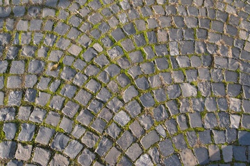 Altes Strassenpflaster aus kleinen grauen quadratischen Natursteinen in Bögen verlegt und grünen Fugen aus Moos im Abendlicht