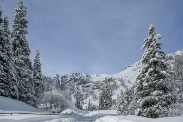 Allphotokz Tuyuk-Su 20060410 8665 5D