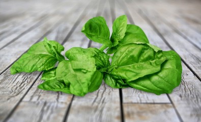 Basil.