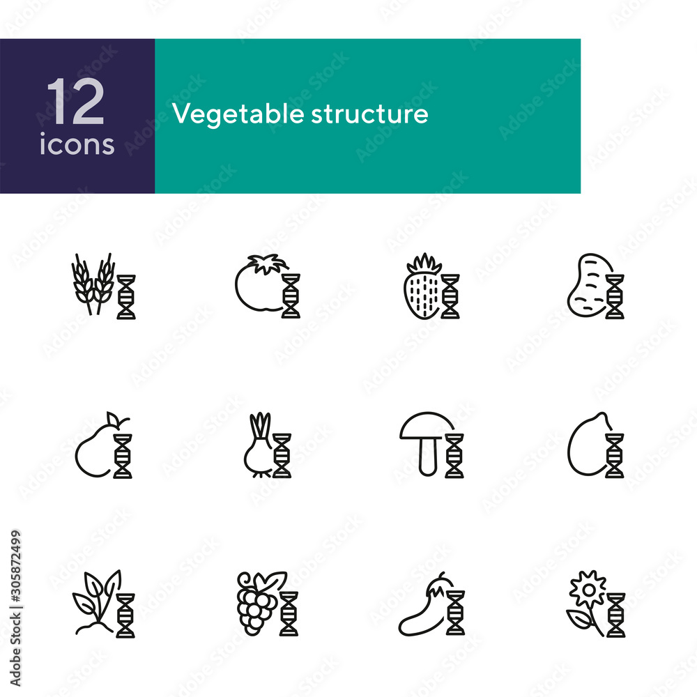 Poster vegetable structure line icon set. set of line icons on white background. dna structure, pear, mushr