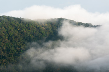 Fog and cloud mountain valley spring landscape - 305872437