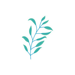 foliage leaves branch nature ecology icon
