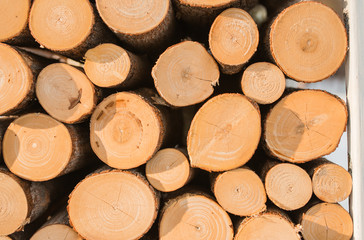 Fototapeta premium the texture of the trees. Chopped and folded pile of pine and birch wood. Textured background. Pile of chopped wood. Wood texture background. Splinters