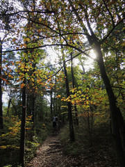 Fototapeta premium A person walking through the beech of the Lac de Monteynard-Avignonet. France