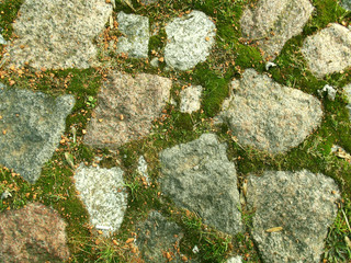Stone pavement with moss.