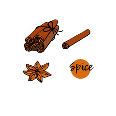 Set of Cinnamon rolled sticks and Anise star isolated on white background. Hand drawn spices.