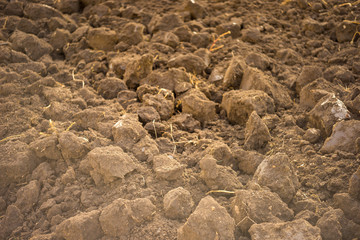 excavated land closeup, fresh soil for background.