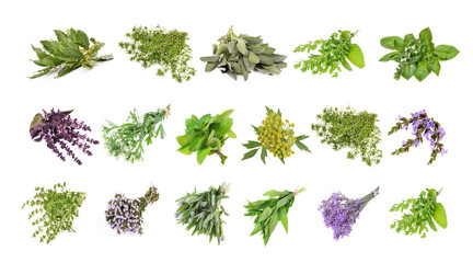Set of fresh herbs hanging  on an isolated white background