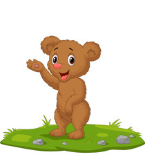 Cute baby bear waving hand on the grass