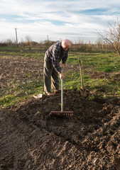 Farmer working with a rake in the garden