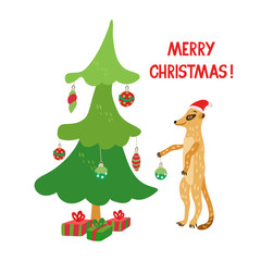 Poster with a cute meerkat decorating a Christmas tree. Marry Christmas lettering. Vector illustration in red and green colors for greeting cards, posters, xmas souvenir  products. Isolated on white.