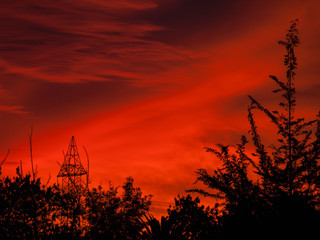Beautiful sunset, powerlines and trees