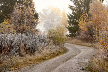 Landschaft im Herbst mit Bodennebel und buntem Laub
