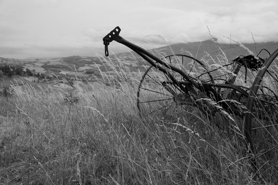 Foto scattata ad un vecchio aratro nelle colline di Cantalupo Ligure.