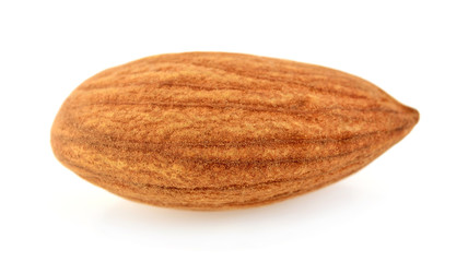 Almond. Almond nut isolated on white background
