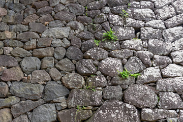 背景素材 小諸城石垣