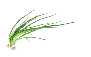 Green onion natural herb isolated on the white background