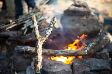 fire in the forest