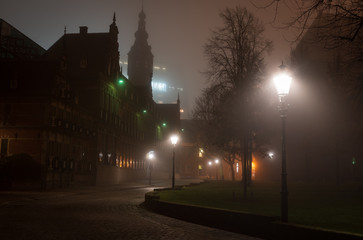 Streetlights and a monumental  government building on a foggy, autumn night in the city of Groningen.