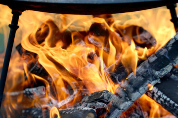 fire in the nature, fire for cooking in the nature