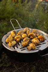 mushrooms are grilled. Picnic. Camping