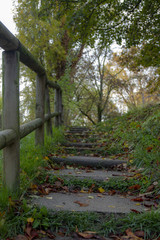 Stairway to autumn