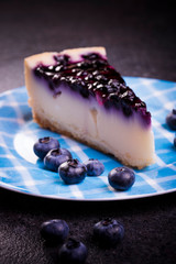 fresh blueberry cheese cake