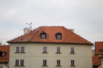 Cityscape of architecture and ancient streets of the Czech capital of Prague early in the morning before Christmas.
