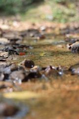Flowing Water