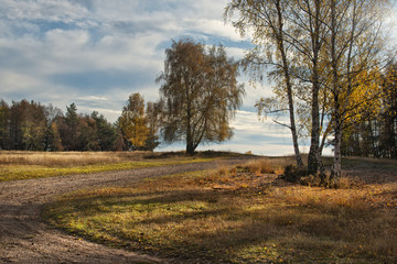 Heide Landschaft im Abendlicht