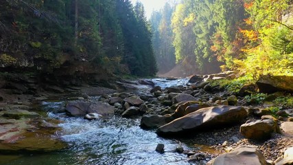 mountain river flowing between rocky shores in Carpathians mountains, Ukraine