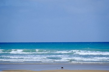 background, sea, water, ocean, blue, nature, summer, wave, travel, vacation, surface, tropical, marine, landscape, natural, texture, aqua, clear, sky, ripple, holiday, underwater, liquid, abstract, ou