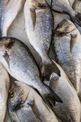 Beautifully laid out fresh fish on a counter on ice. Vertical.