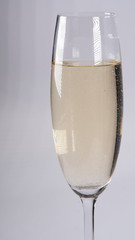 Champagne glass on a white background
