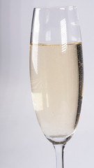 Champagne glass on a white background