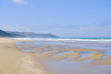 background, sea, water, ocean, blue, nature, summer, wave, travel, vacation, surface, tropical, marine, landscape, natural, texture, aqua, clear, sky, ripple, holiday, underwater, liquid, abstract, ou