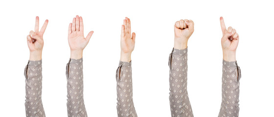 Woman hands showing various gestures