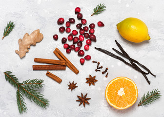 Cranberries, lemon, orange, cinnamon sticks, anise, cloves, vanilla pods, ginger and rock candy for making mulled wine. Recipe concept. 